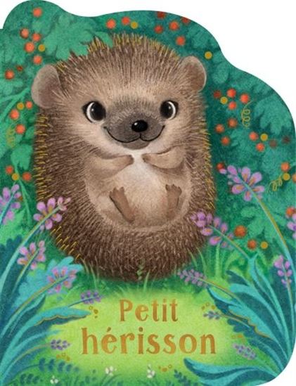 ADP Petit herisson