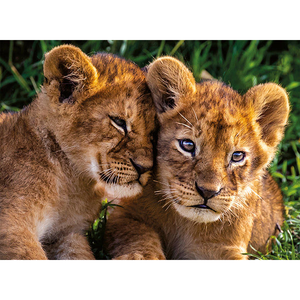 121429~2
