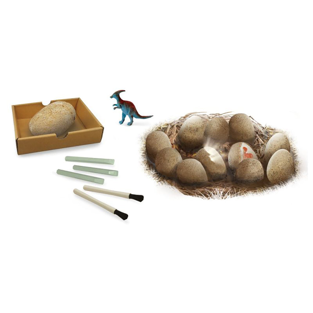 Découverte-Maxi pack Oeuf Dino