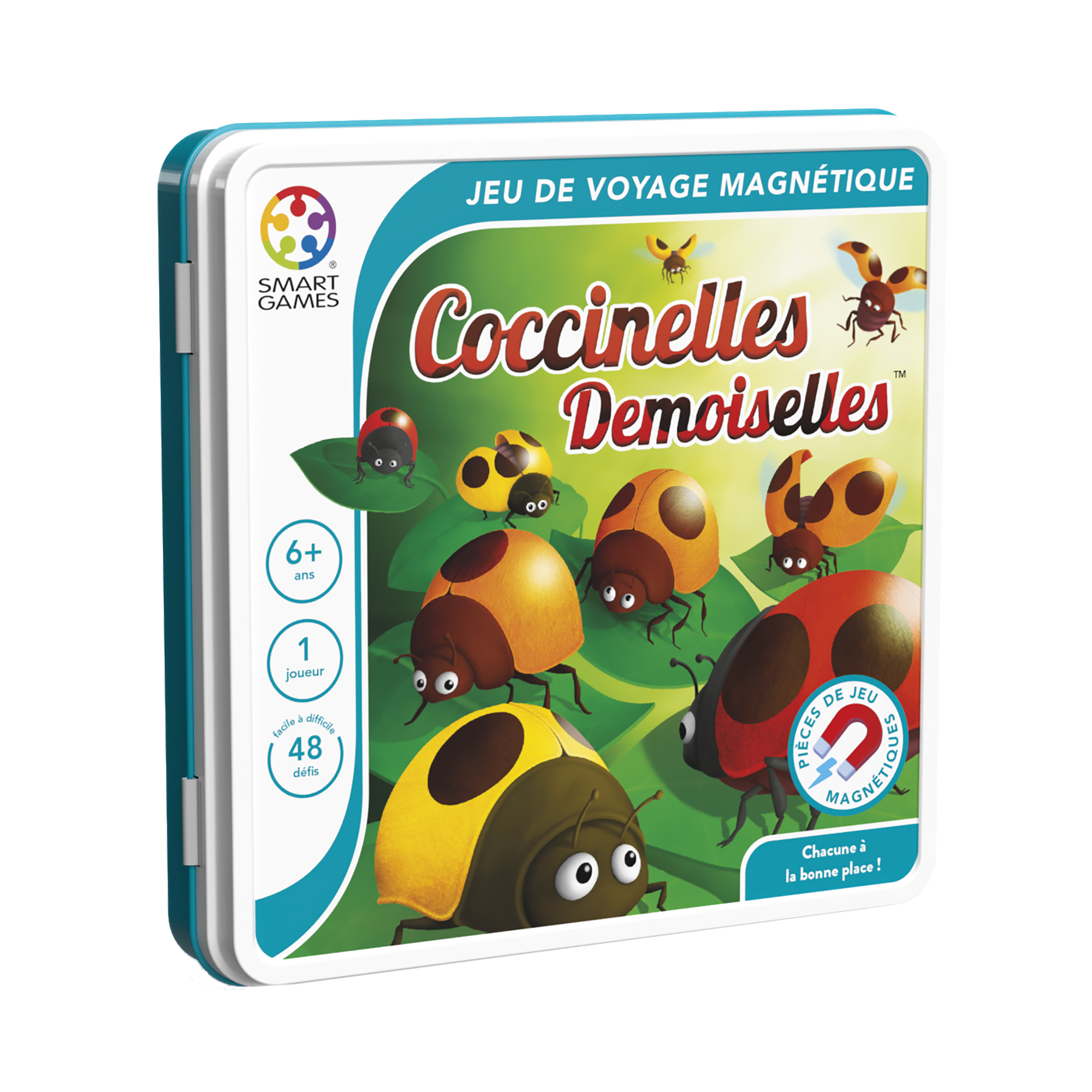 Coccinelles Demoiselles