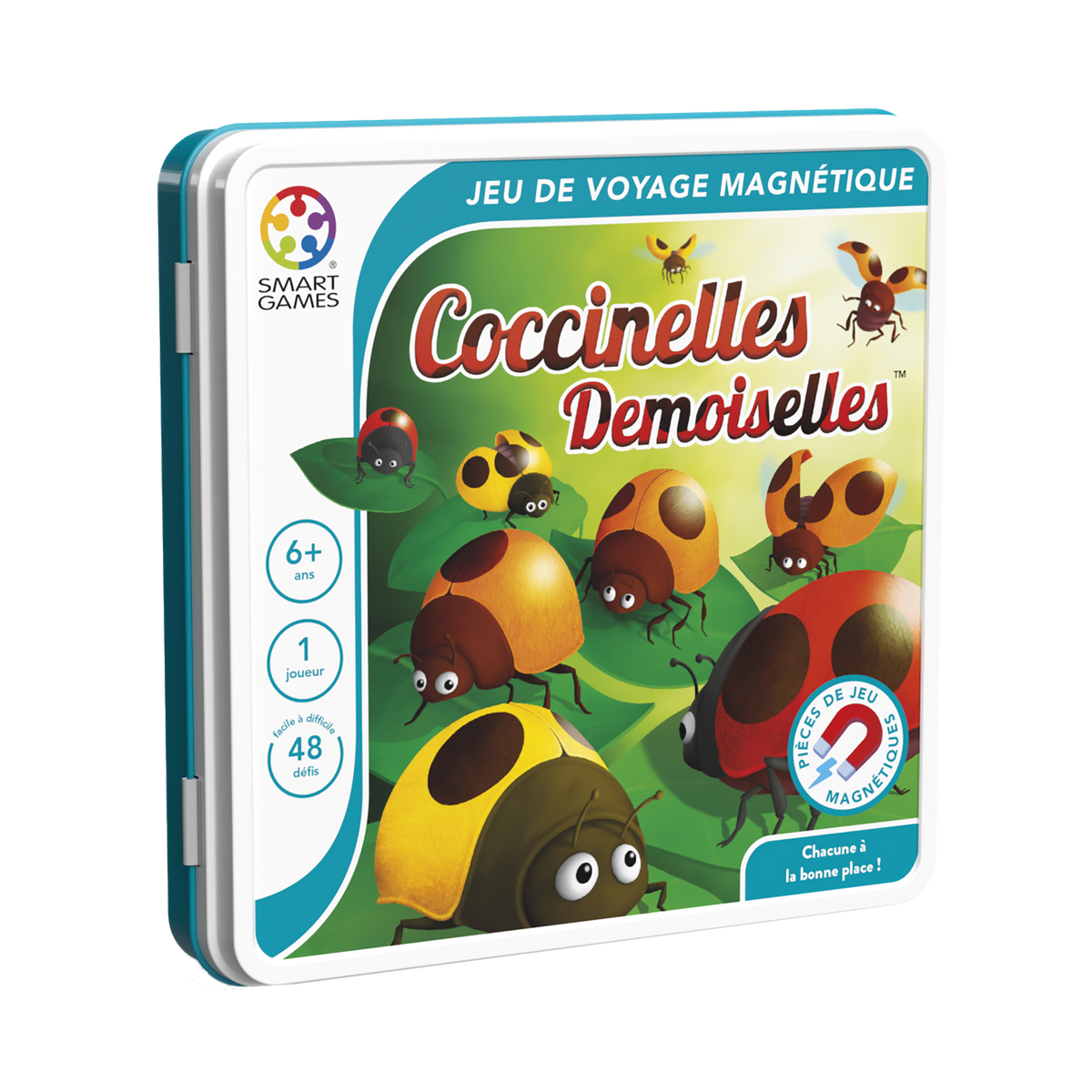Coccinelles Demoiselles
