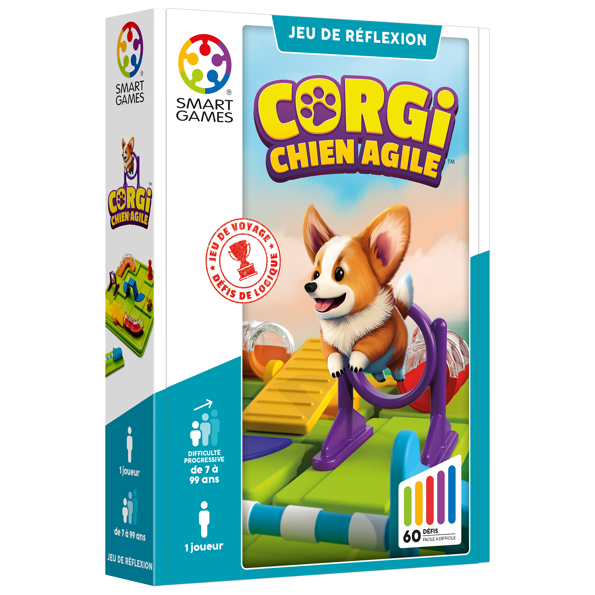 Corgi, chien agile