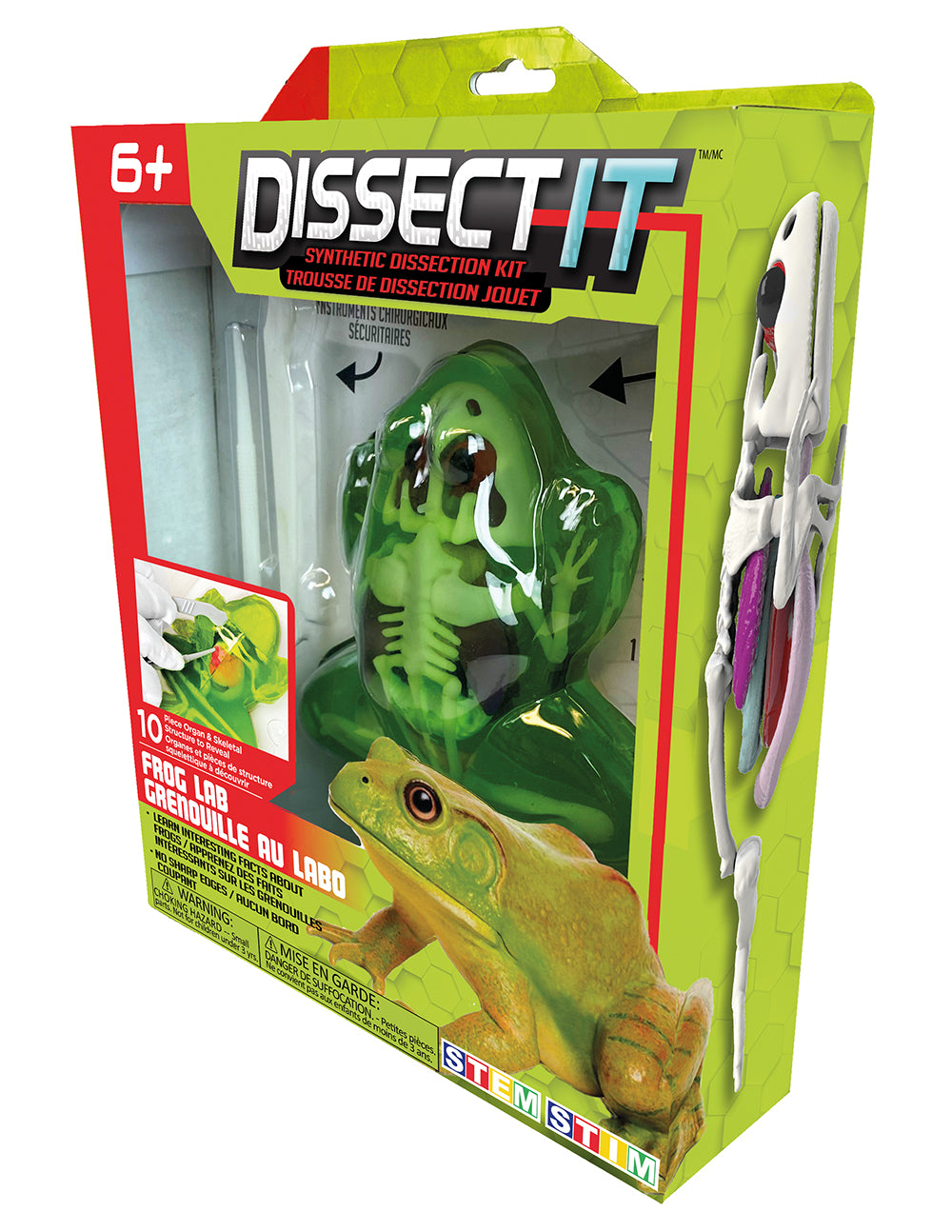 Dissect It - Grenouille au labo