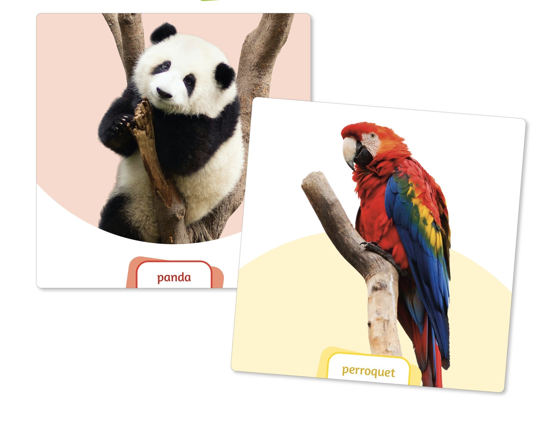 Le dé des premiers mots: Les animaux (extension)