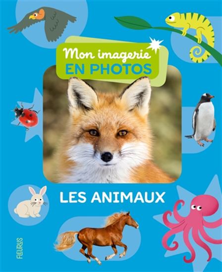Les animaux Imagerie en photos