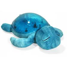 Tortue à effets sous-marins Aqua