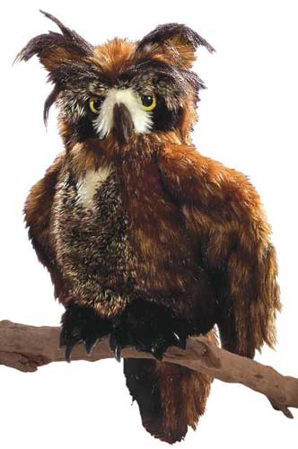 Marionnette Hibou corné