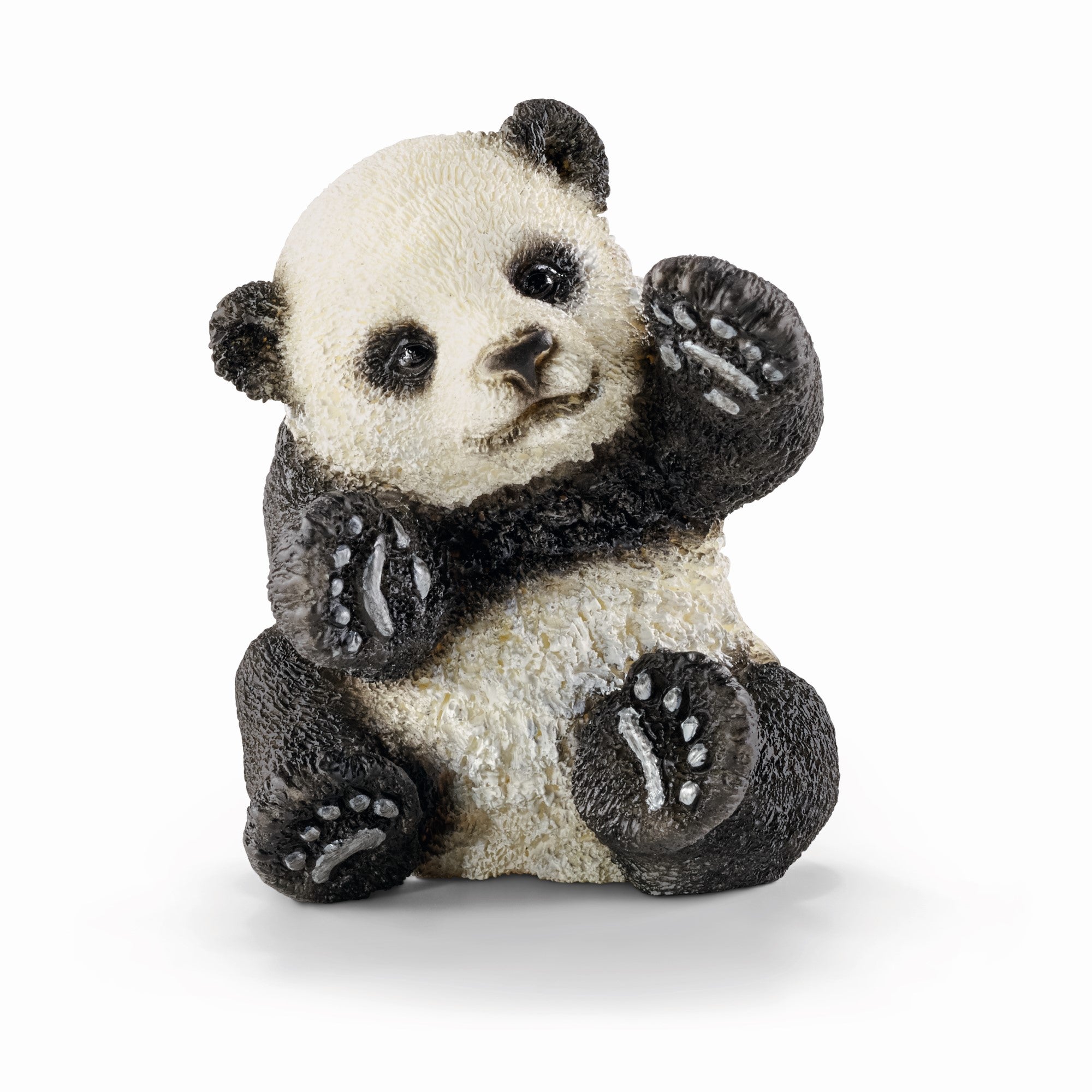 Bébé panda jouant