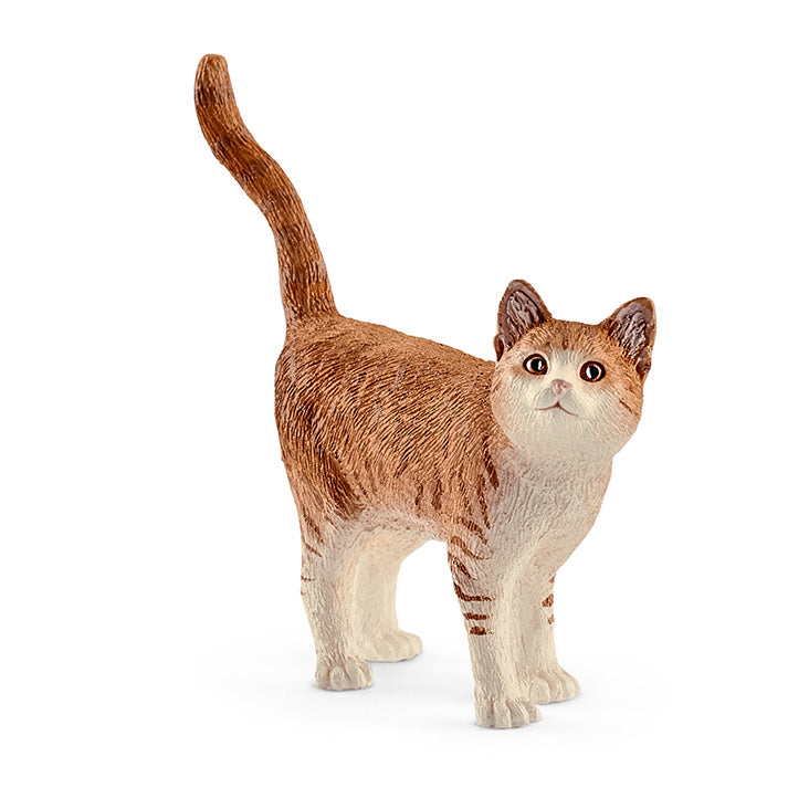 Chat