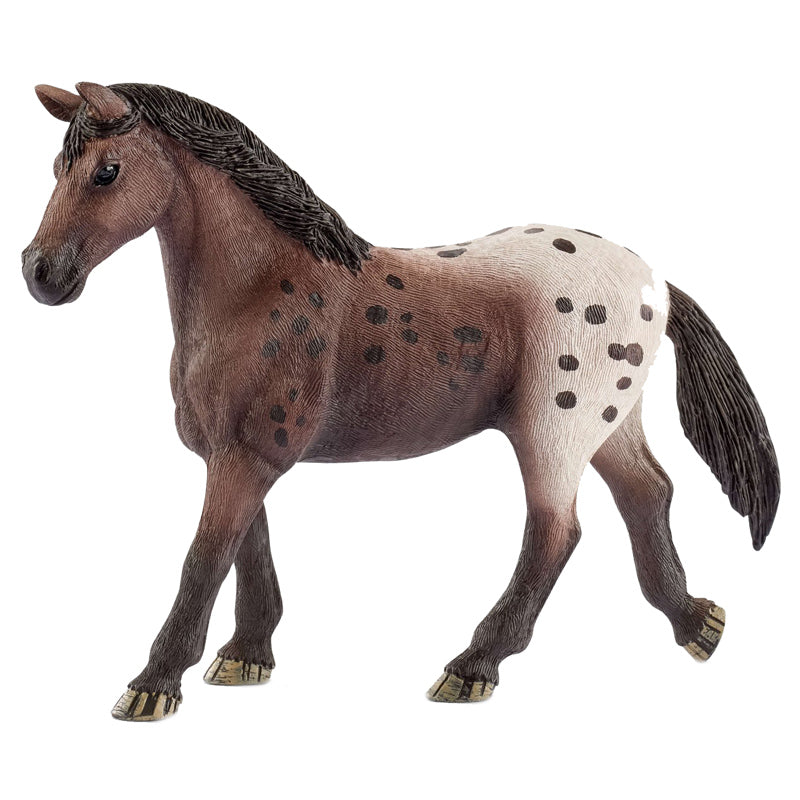 Jument Appaloosa
