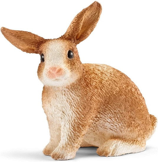Lapin