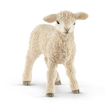 Agneau