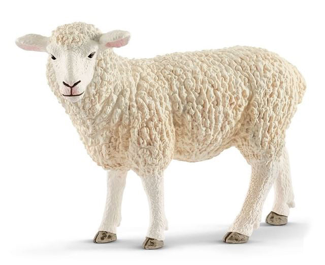 Mouton
