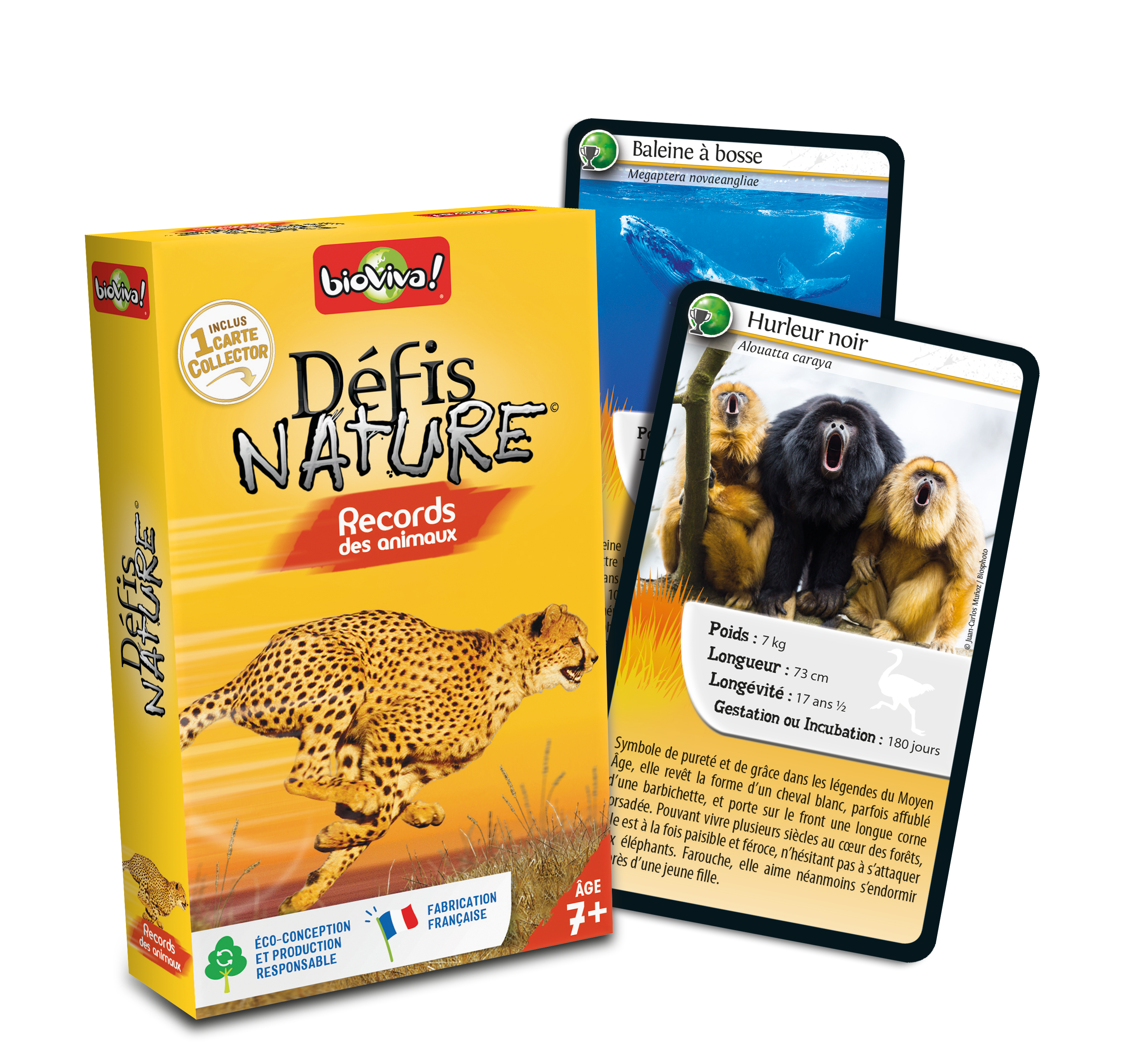 Défis nature - Records des animaux