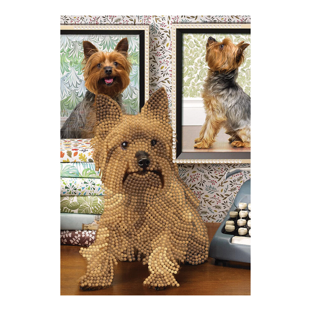 Cahier de note joli chien