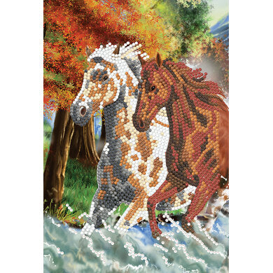 Cahier de note chevaux sauvage
