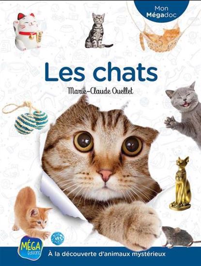 Les Chats : À la découvert d'animaux mystérieux