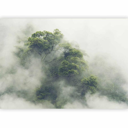 Fotomurale Foggy Amazon