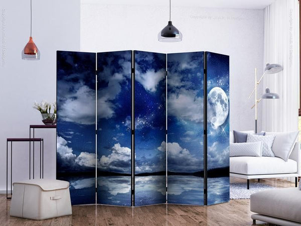 Paravento Magic Night II [divisori da interno]