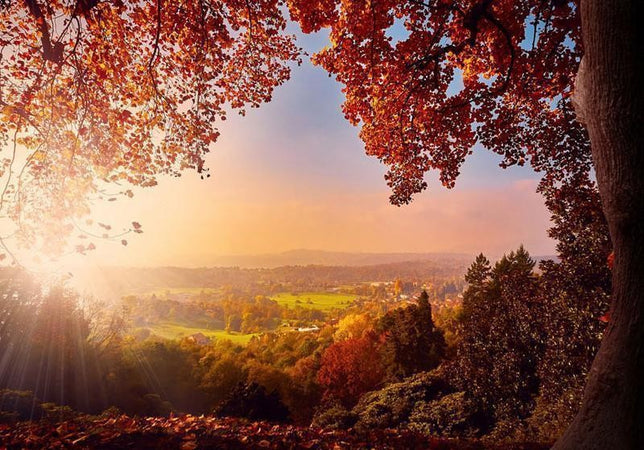 Fotomurale Autumn Delight