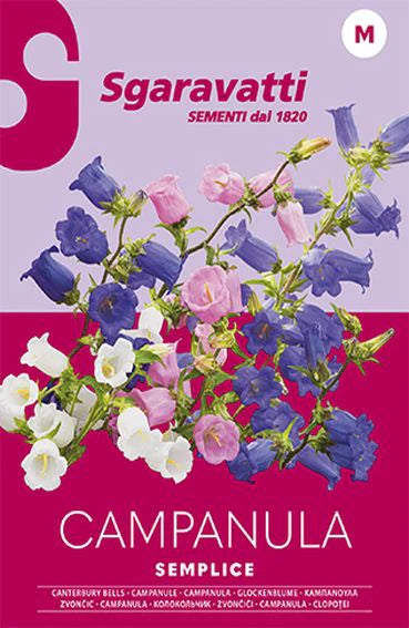 Semi Per Prato Universale Campanula Semplice 20 Pezzi - Sgaravatti