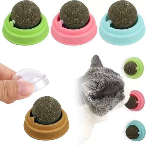 ERBA GATTA CATNIP PALLINA