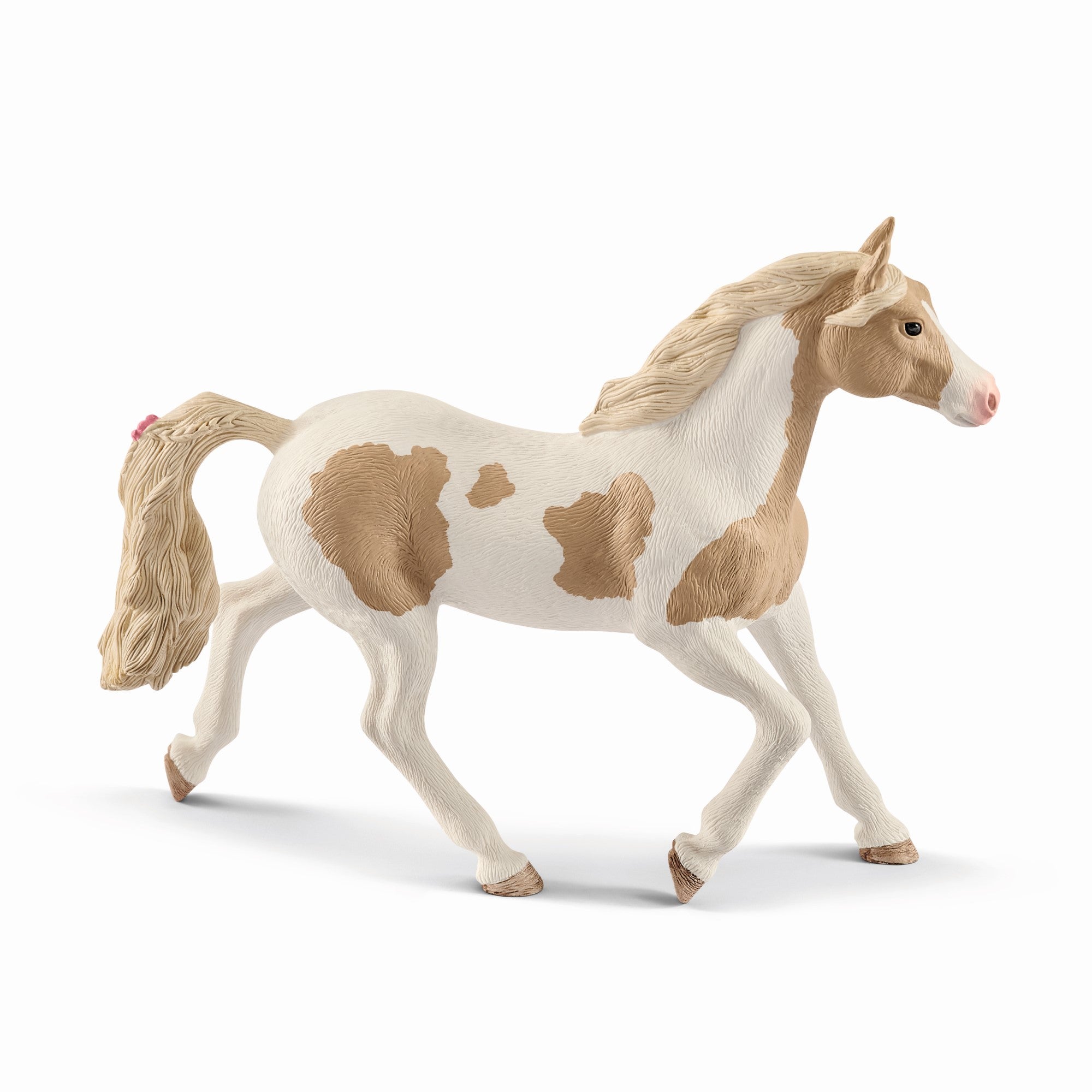 Jument Paint Horse