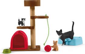 Récréation pour chats mignons