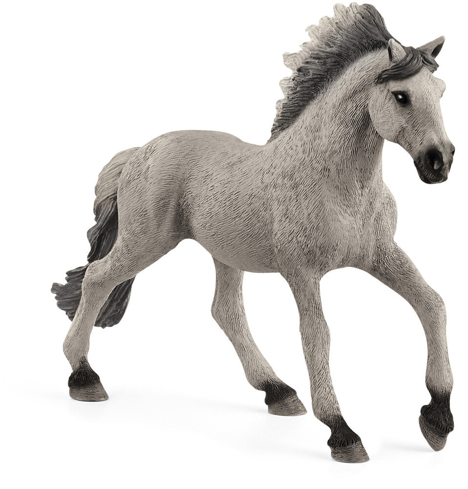 Etalon Mustang Sorraia