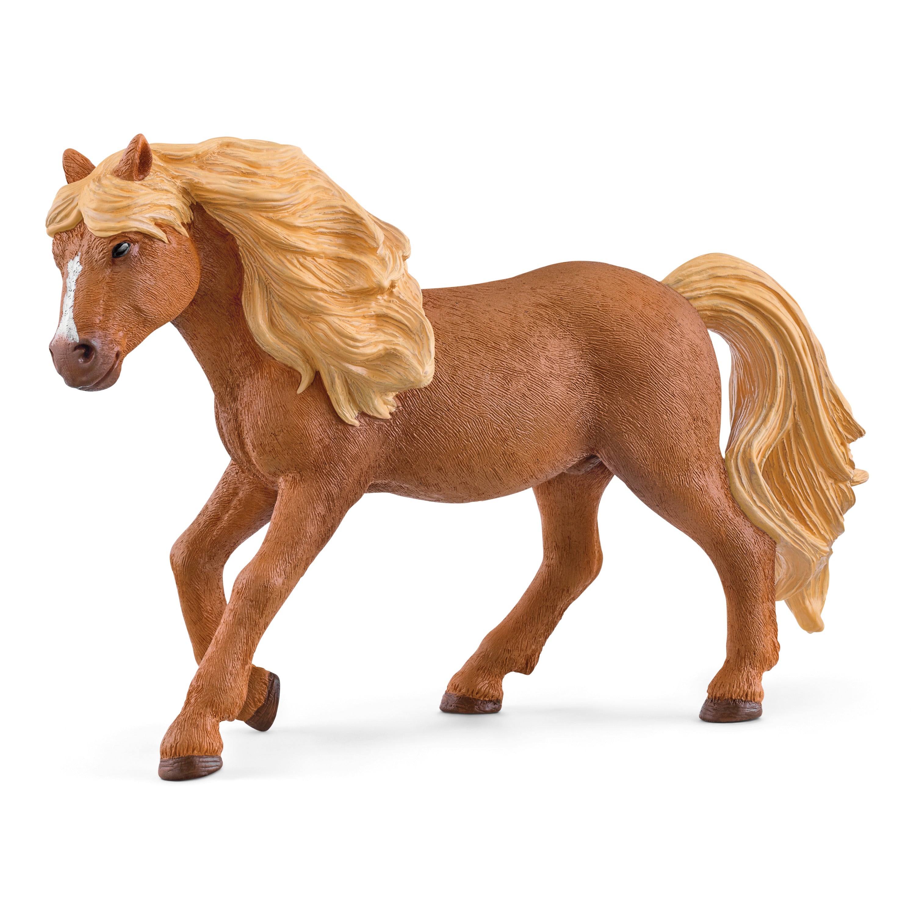 Étalon Island Pony