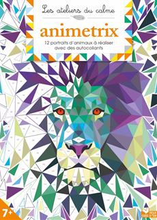Animétrix